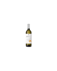 Vini Bianchi  Finamore Pecorino IGP 2022 - Vigna Madre 4,83 €