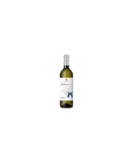 Witte Wijnen  Finamore Falanghina IGP 2022 - Vigna Madre 4,83 €