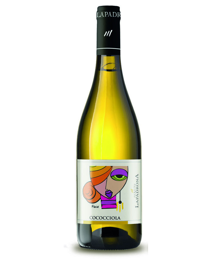 Cococciole IGT 2024 - Tenute La Padrona