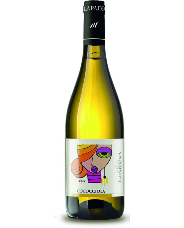 Cococciole IGT 2024 - Tenute La Padrona