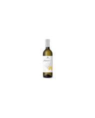 Witte Wijnen  Finamore Passerina IGP 2022 - Vigna Madre 4,83 €