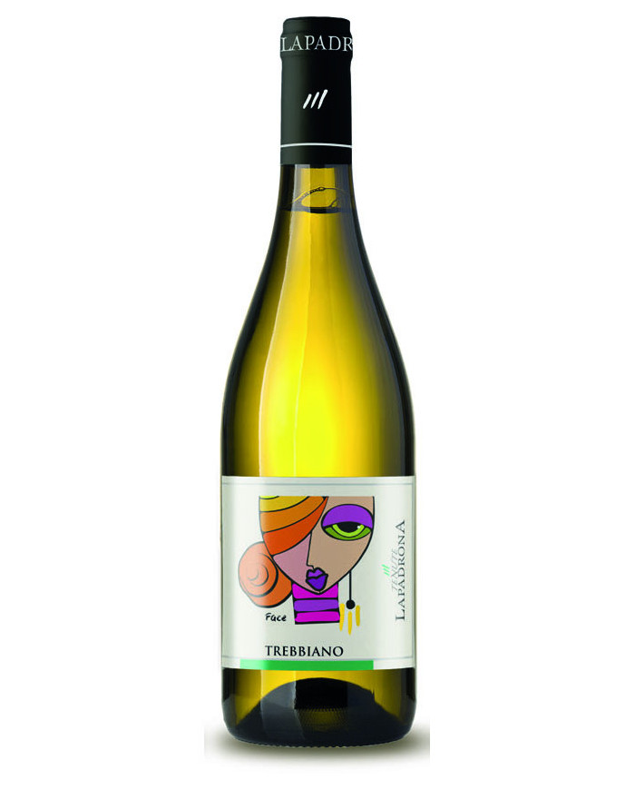 Trebbiano Terre di Chieti IGT 2024 - Tenute La Padrona