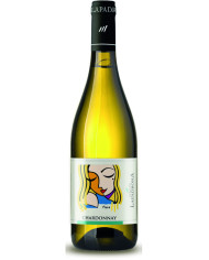 Chardonnay Terre di Chieti IGT 2024 - Tenute La Padrona