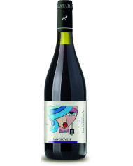 Sangiovese Terre di Chieti IGT 2024 - Tenute La Padrona