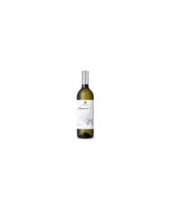 White wines  Finamore Sauvignon Blanc IGP 2022 - Vigna Madre 4,83 €