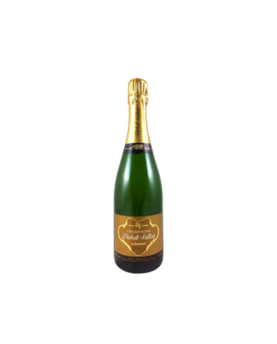 Champagne Brut Blanc de Blancs Millesimè AOC 2018  - Diebolt-Vallois