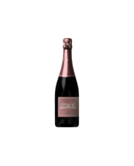 Spumante Metodo Classico Brut Rosé - Tenuta di Artimino