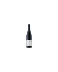 Maxima Pinot Nero Piemonte DOC 2020 - Colombo