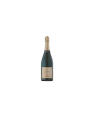 Spumante Metodo Classico Brut Blanc de Blancs Natusia magnum - Colombo