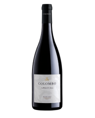 Pinot Nero Piemonte DOC 2023 - Colombo