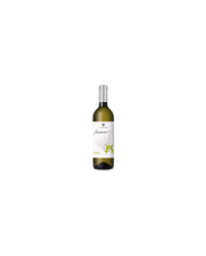 Witte Wijnen  Finamore Trebbiano d’Abruzzo DOC 2022 - Vigna Madre 4,83 €
