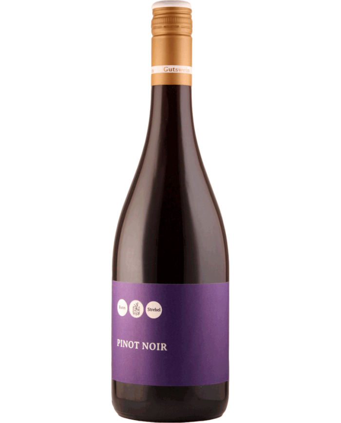 Pino Nero Spätburgunder Wintersheim 2021 - Lisa Bunn