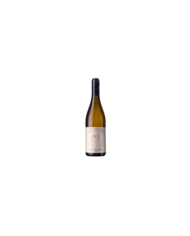 White wines  Fosso Cancelli Pecorino Colline Pescaresi IGP 2019 - Ciavolich 23,80 €