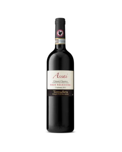 Assai Chianti Classico Gran Selezione DOCG 2015 Kosher for Passover Magnum - Terra di Seta