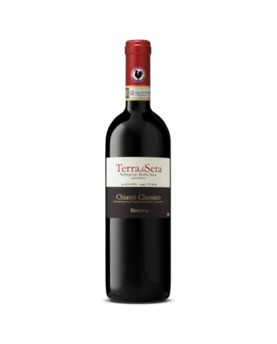 Chianti Classico Riserva DOCG 2020 - Terra di Seta