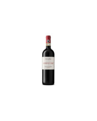 Vini Rossi  Guardo Giro Chianti Classico Riserva D.O.C.G. - Terra di Seta 83,00 €