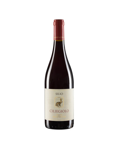 Vini Rossi  Silio Ciliegiolo Toscana IGT 2023 - Tenuta Montauto 15,10 €
