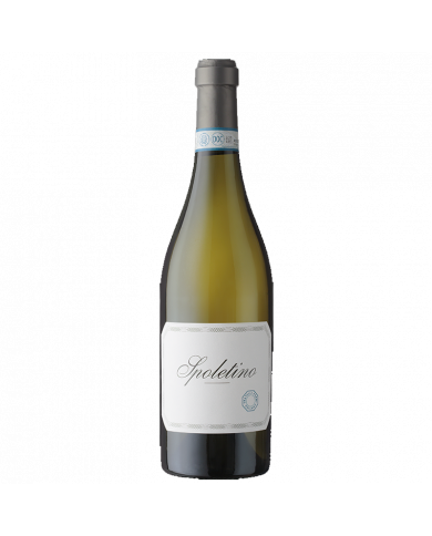 White Wines  Spoletino Spoleto Trebbiano Spoletino DOC 2025 - Cantina Fratelli Pardi 9,56&nbsp;€