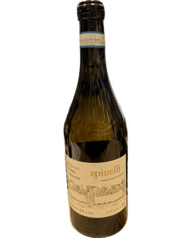 Vini Bianchi  Le Stagioni del Vino Pecorino Superiore Abruzzo DOC 2021 - Spinelli 12,64&nbsp;€
