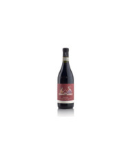 Red Wines  copy of Dolcetto Dogliani San Luigi DOCG 2021 - Cascina Corte 31,96&nbsp;€