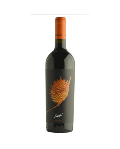 Vini Rossi  Rosso Conero Fioretti Brera 2022 - Fausti' 13,52&nbsp;€