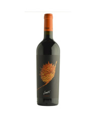 Vini Rossi  Rosso Conero Fioretti Brera 2022 - Fausti' 13,52&nbsp;€