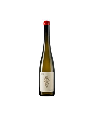 Riesling Amphora 2022 - Domane Wachau