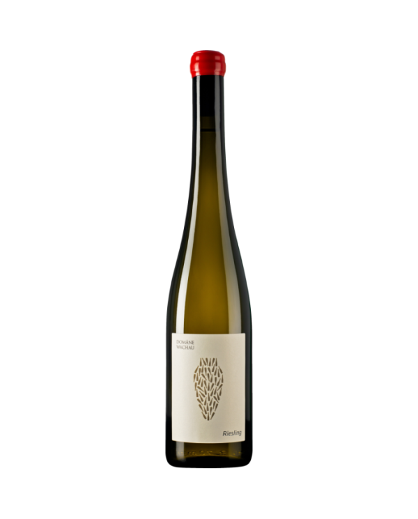 Riesling Amphora 2022 - Domane Wachau