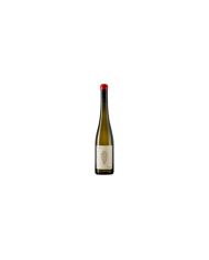 Riesling Amphora 2022 - Domane Wachau