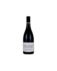 Gevrey Chambertin 1er Cru Champeaux 2020 - Benjamin Leroux