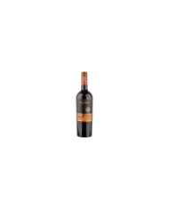 Toscana Rosso IGT Solleone 2020 - Palagetto