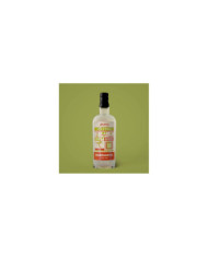 Margarita Cocktail 0,70 l - Zanin