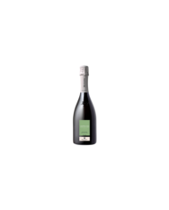 CONTROCCHIO Franciacorta Extra Brut 2017 - Quadra