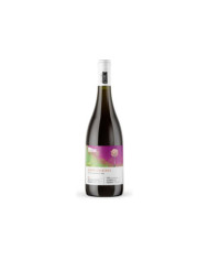Rosa Gewurztraminer Alto Adige Doc 2024 - Cantina Roveré della Luna Aichholz