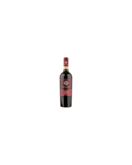 Chianti Colli Senesi DOCG 2023 - Palagetto