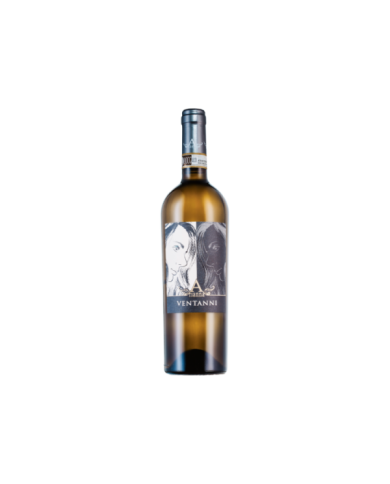 Vernaccia di SG. DOCG Ventanni 2024 - Palagetto