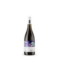 Sauvignon Bianco IGT 2023 - Cantina Roveré della Luna Aichholz