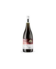 Mirtillo Pinot Nero Rose Alto Adige Doc 2023 - Cantina Roveré della Luna Aichholz