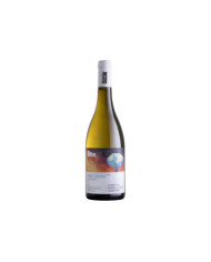 Pero Pinot Grigio Alto Adige Doc 2024 - Cantina Roveré della Luna Aichholz
