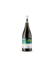 Albicocco Chardonnay Alto Adige Doc 2024 - Cantina Roveré della Luna Aichholz