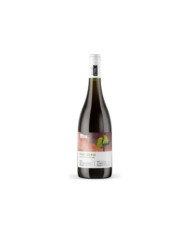 Acacia Pinot Bianco Alto Adige Doc 2024 - Cantina Roveré della Luna Aichholz