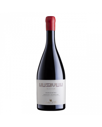 Red Wines  Marzemino Trentino Superiore DOC 2019 - Musivum 35,40&nbsp;€