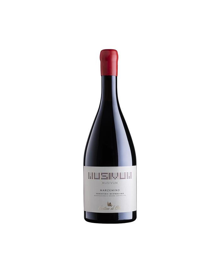 Vini Rossi  Marzemino Trentino Superiore DOC 2019 - Musivum 35,40&nbsp;€