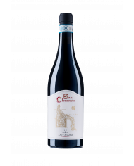 Red Wines  copy of San Clemente Montepulciano D’Abruzzo Riserva DOC 2018 - Cantina Zaccagnini 21,50&nbsp;€