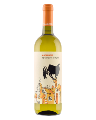 Vini Bianchi  La Capranera Falanghina Campania IGP 2025 - San Salvatore 1988 8,94&nbsp;€