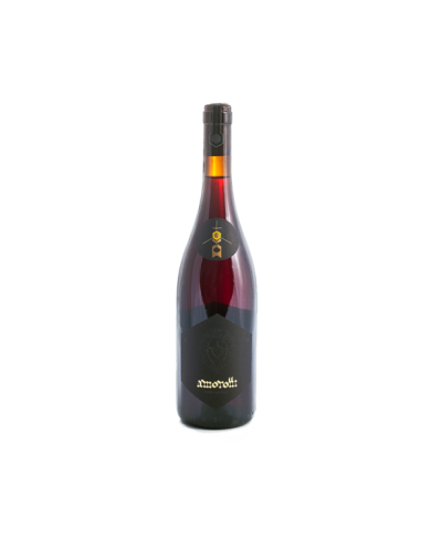 Rosé Wines  copy of Cerasuolo d’Abruzzo DOC 2023 - Amorotti 20,99&nbsp;€
