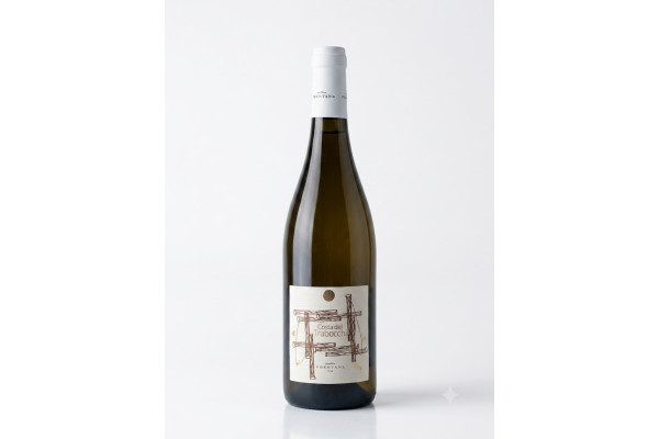Vini Bianchi  Costa dei Trabocchi Bianco Terre di Chieti IGT 2021 - Cantina Frentana 9,50&nbsp;€