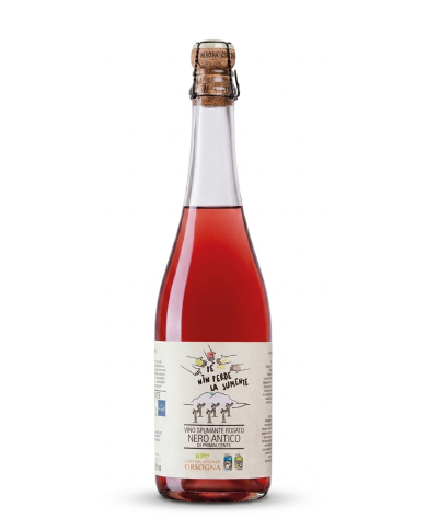 Schaumweine  Pé nin perde la Sumente Spumante Nero Antico di Pretalucente - Cantina Orsogna 15,38&nbsp;€