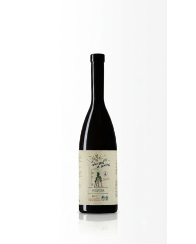 White Wines  Pé Nin Perde la Sumente Polegra Chardonnay Terre d’Abruzzo IGP - Cantina Orsogna 15,49&nbsp;€