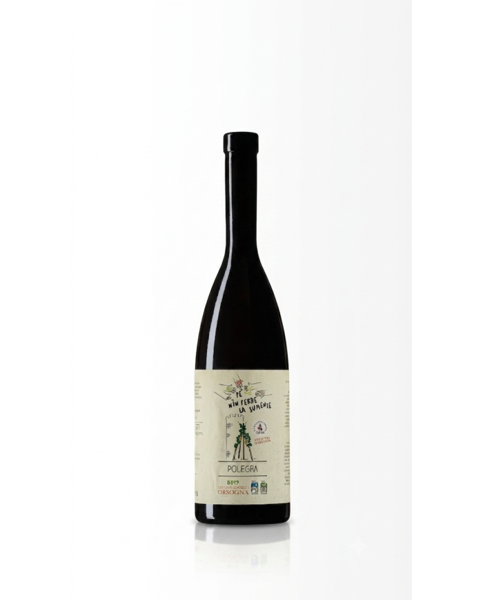 Weißweine  Pé Nin Perde la Sumente Polegra Chardonnay Terre d’Abruzzo IGP - Cantina Orsogna 15,49&nbsp;€